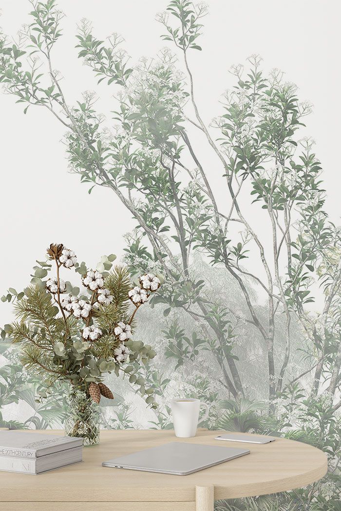 dense-tropical-forest-in-fog-wallpaper-long-image