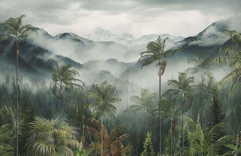 foggy-forest-wallpaper-image