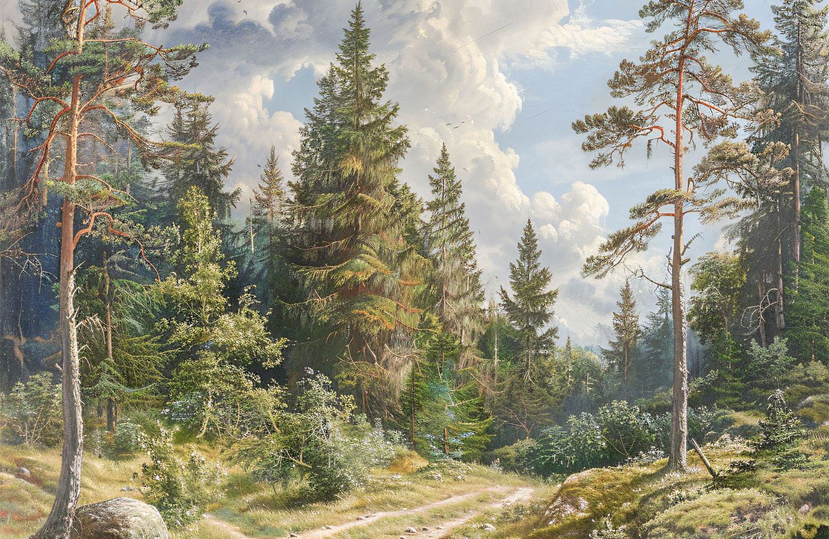 3d-forest-landscape-wallpaper-view