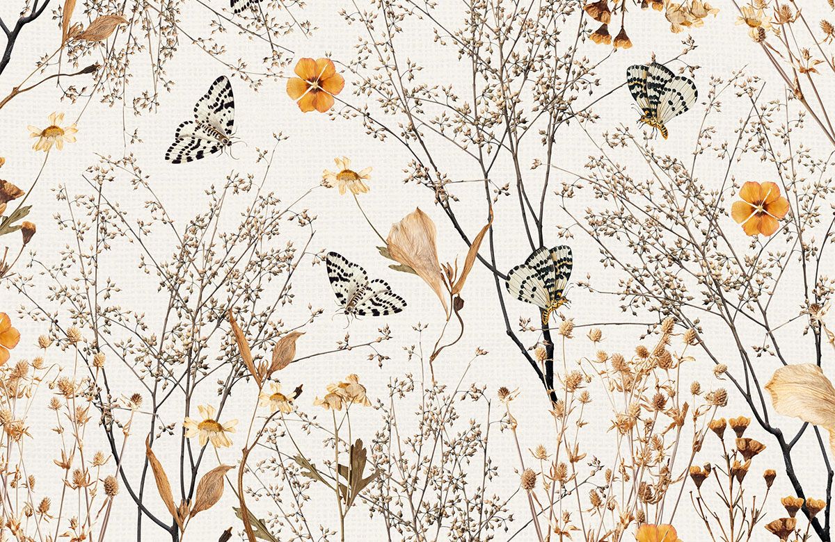 autumn-flower-butterfly-wallpaper-view