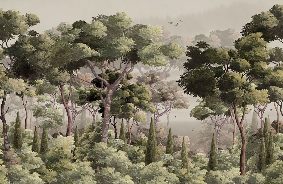 misty-forest-trees-wallpaper-view