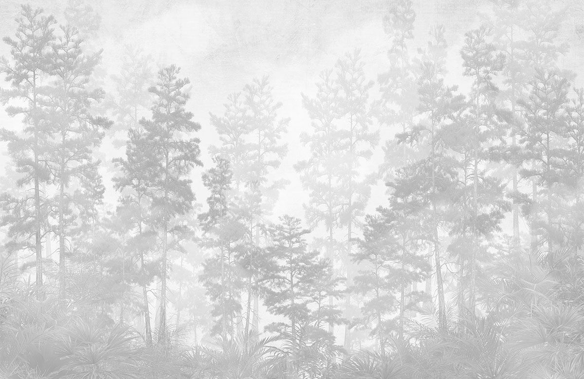 grey-forest-scenic-monochrome-wallpaper-view