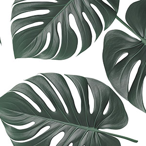 Botanical