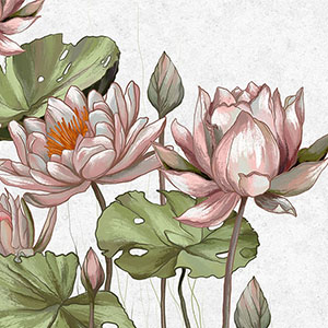 Botanical