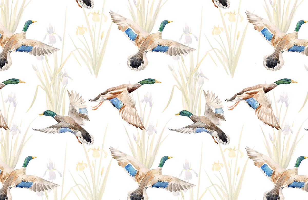 beige-duck-design-Singular design large mural-roll