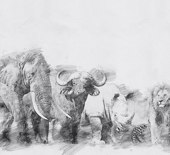 grey-animals-design-Singular design large mural-thumb