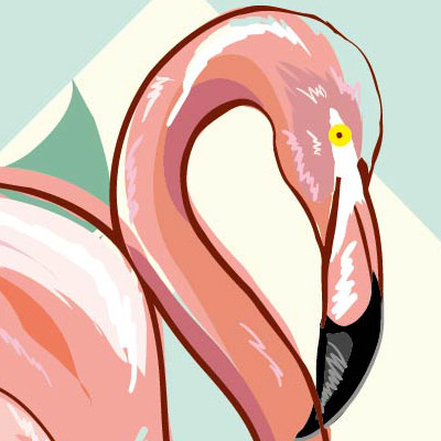 zoomed-view-of-flamingos-on-modern-geometric-pattern-wallpapers
