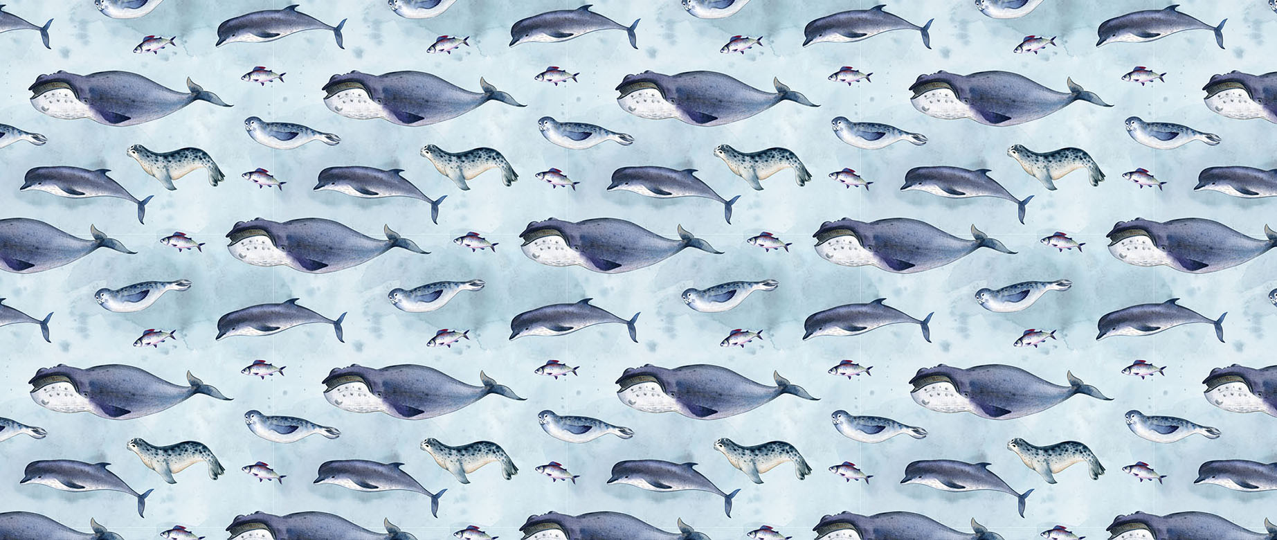 whale-seal-fish-in-ocean-drawing-wallpaper-seamless-repeat-view