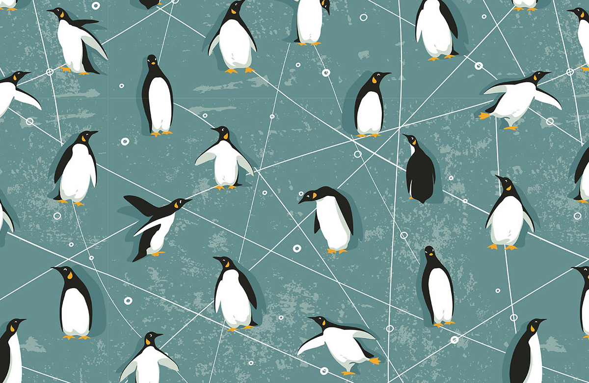 teal-animals-design-Seamless design repeat pattern wallpaper-roll