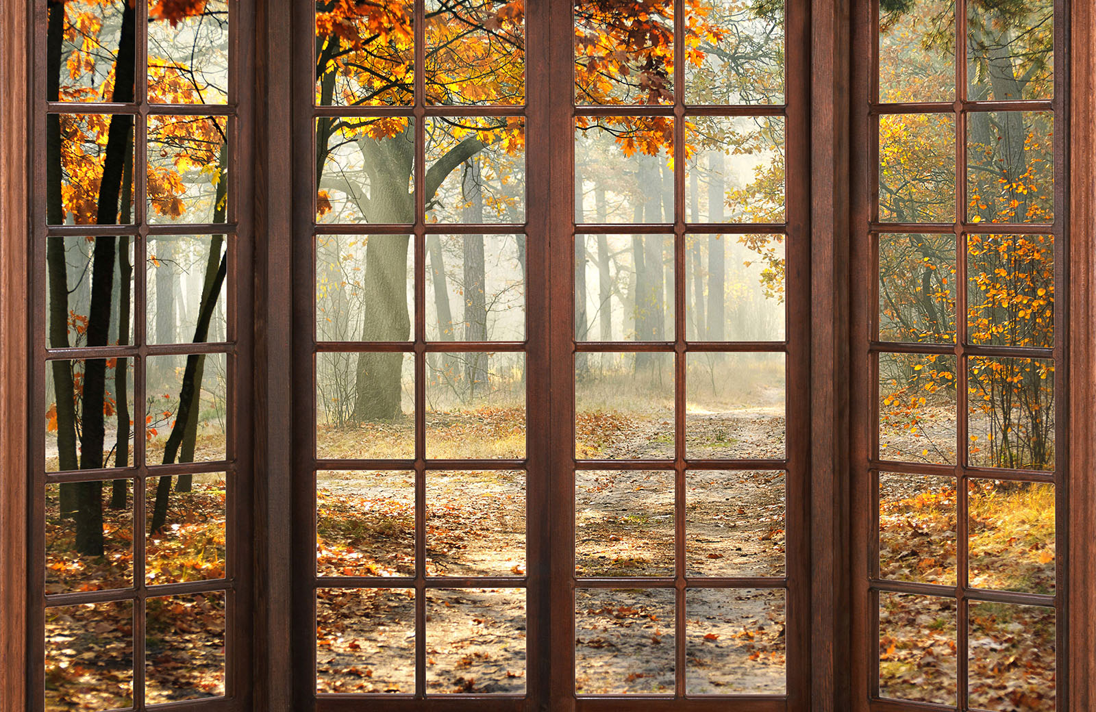 autumn-season-through-brown-glass-door-wallpaper-wallpaper-design