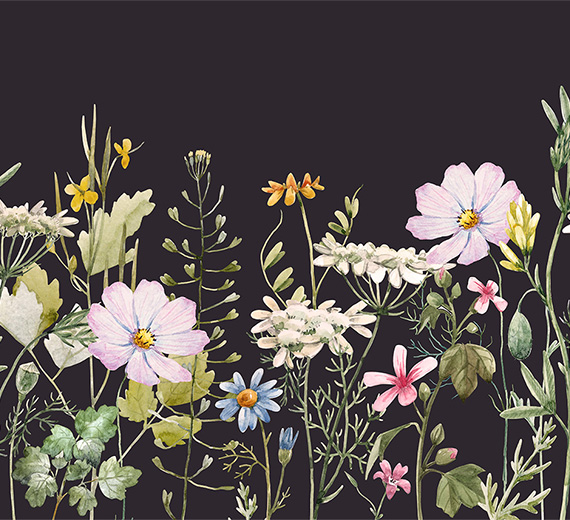 watercolour-flower-plants-in-garden-murals-thumb