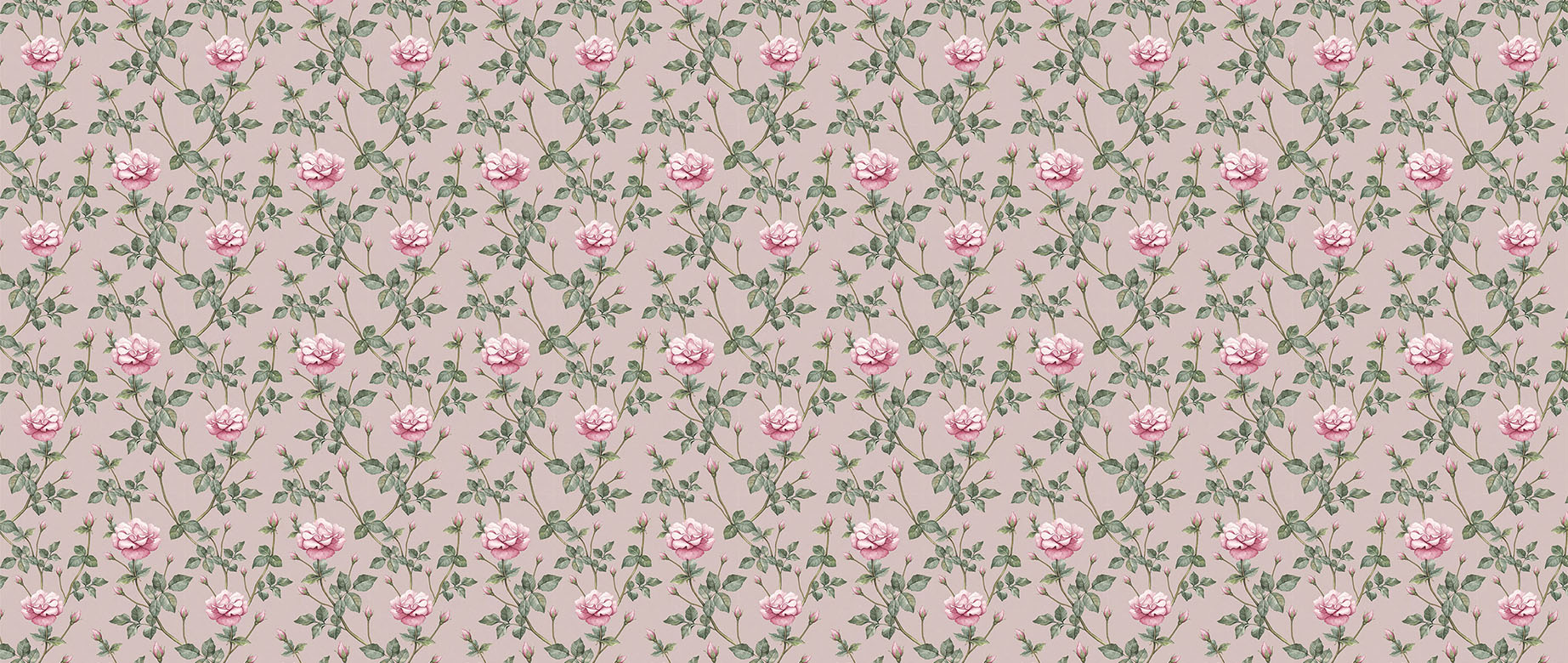 pink-rose-with-green-leaf-wallpaper-wide-view