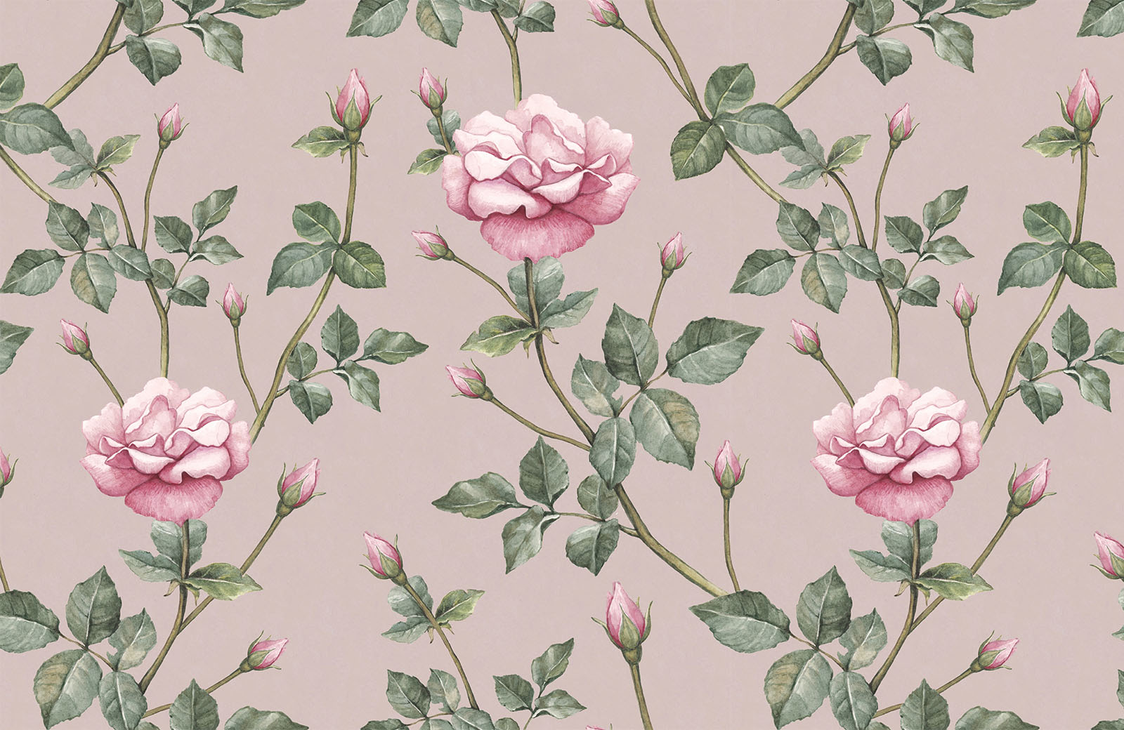pink-rose-with-green-leaf-wallpaper-design