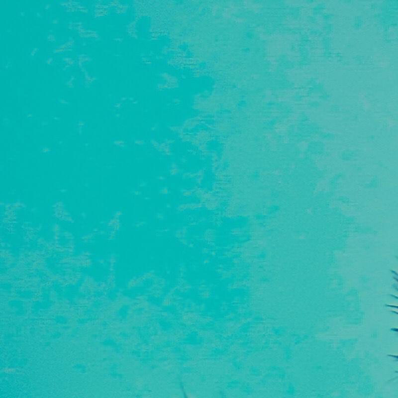 coconut-tree-in-gradient-blue-sky-wallpaper-wallpaper-zoom-view