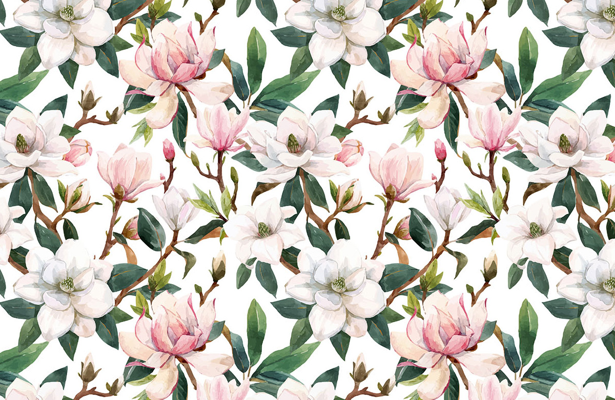 hand-drawn-pink-white-magnolia-flowers-wallpapers-only-image