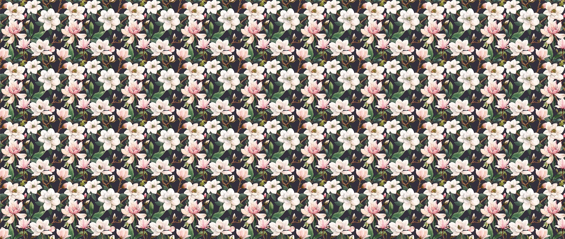 pink-white-magnolia-flowers-in-dark-wallpapers-full-wide-view