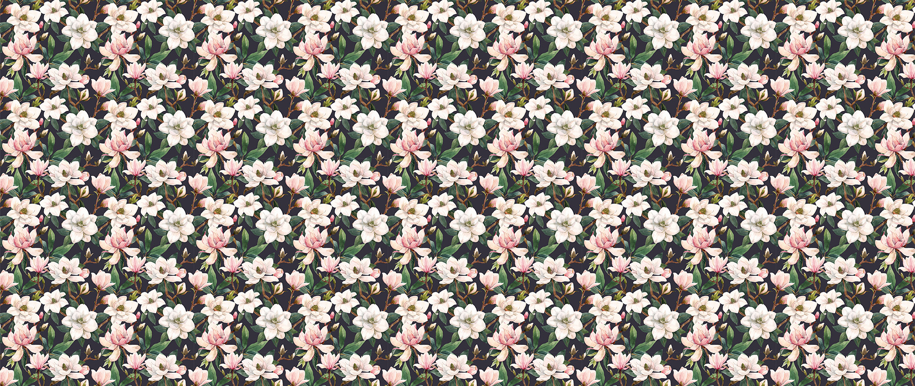 pink-white-magnolia-flowers-in-dark-wallpapers-full-wide-view