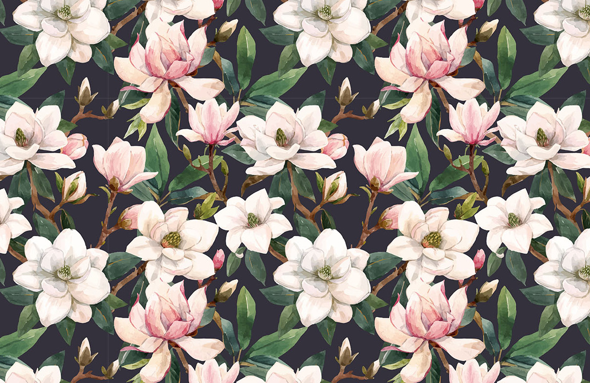 pink-white-magnolia-flowers-in-dark-wallpapers-only-image