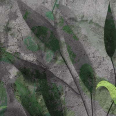 black-grunge-wall-green-leaves-wallpaper-wallpaper-zoom-view