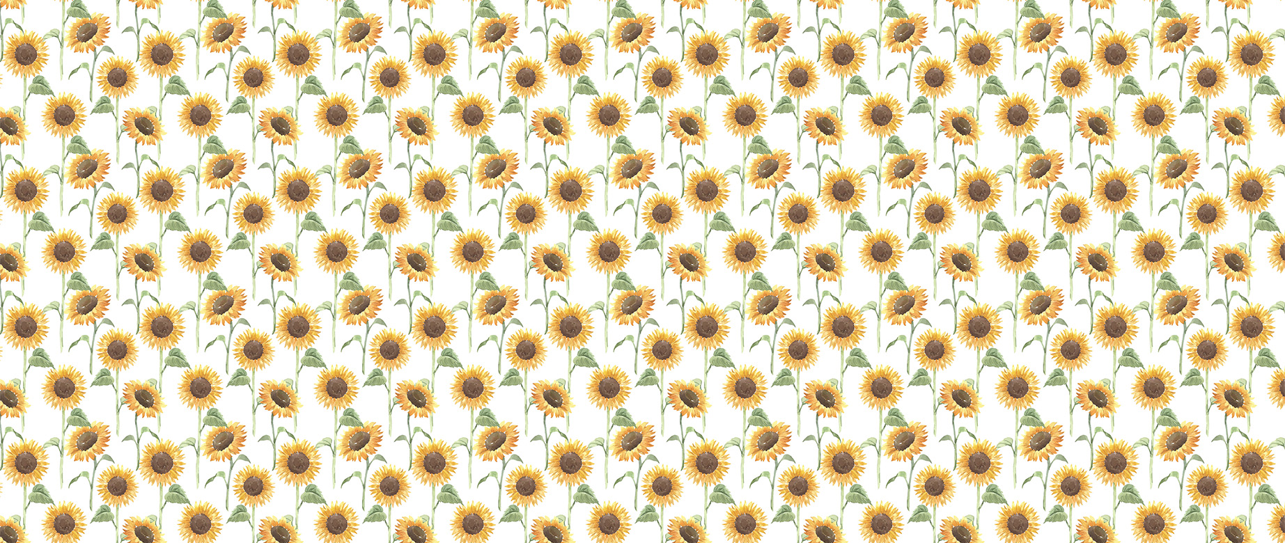 sunflower-with-leaf-in-watercolour-design-wallpapers-full-wide-view
