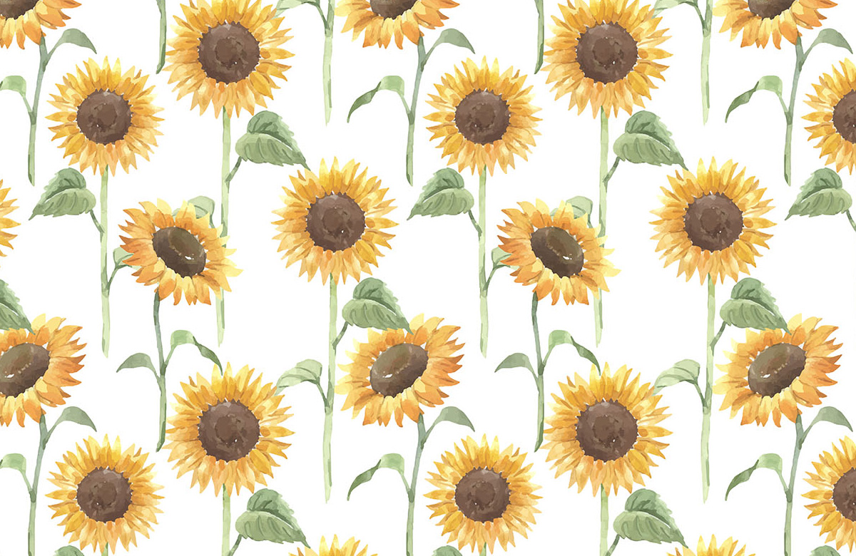 sunflower-with-leaf-in-watercolour-design-wallpapers-only-image