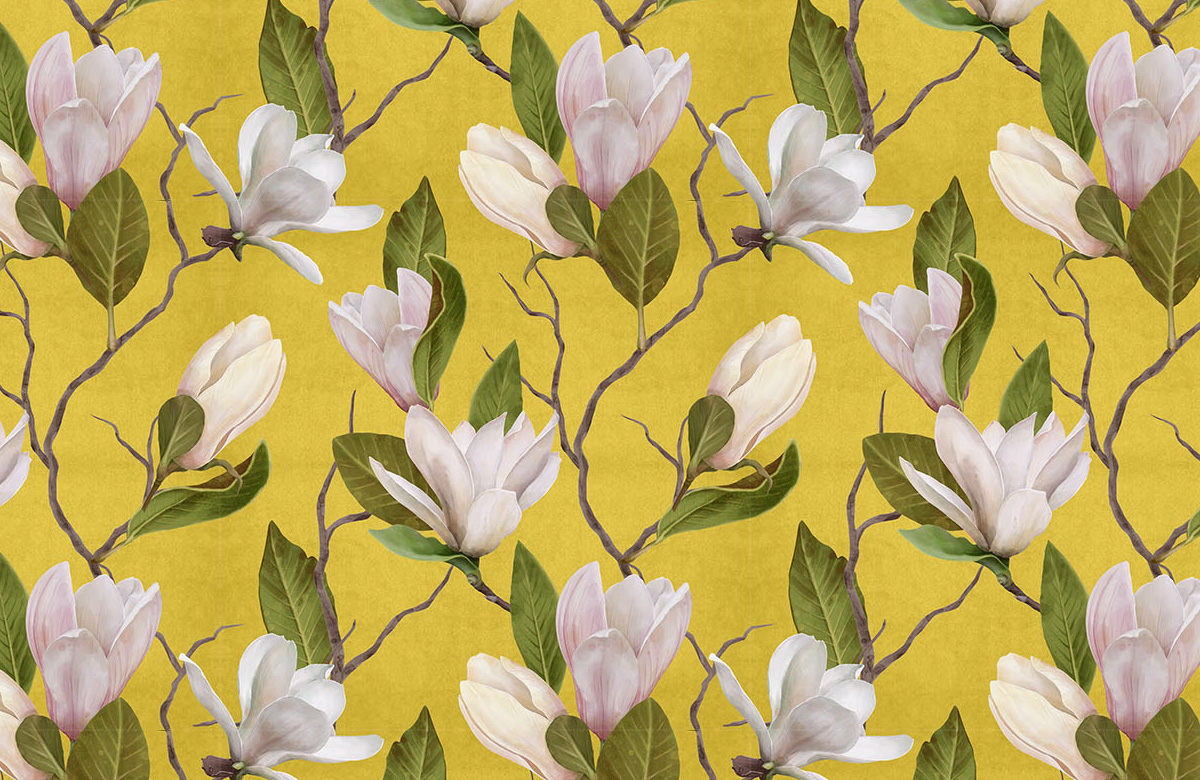 mustard-yellow-magnolia-on-plant-with-leaves-wallpapers-only-image