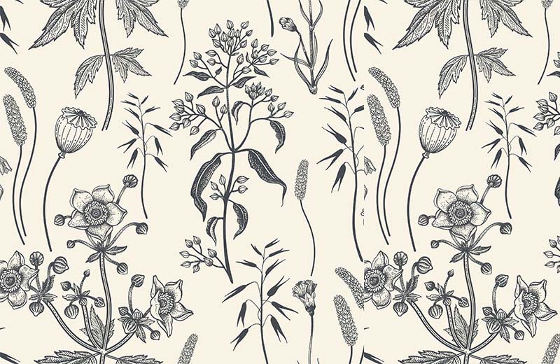 cream-floral-leaves-poppy-bud-sketch-wallpaper-full-view