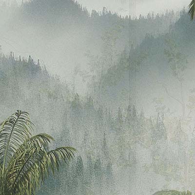 green-dense-tropical-jungle-clouds-nature-wallpaper-wallpaper-zoom-view