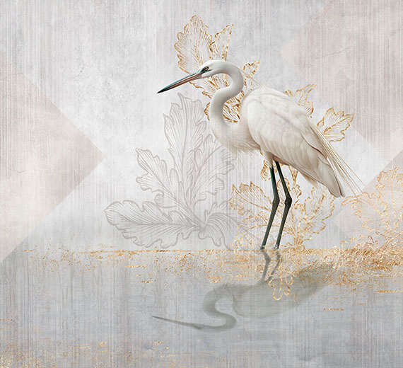 dreamy-white-bird-wallpaper-thumb