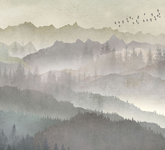 misty-landscape-scenic-wallpaper-thumb