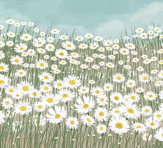 white-daisy-flowers-art-wallpaper-thumb