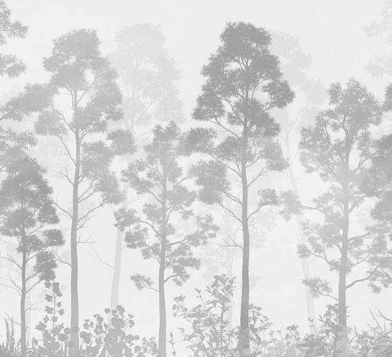 grey-monochrome-forest-scene-wallpaper-thumb