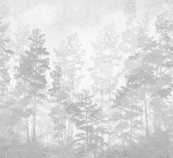 grey-forest-scenic-monochrome-wallpaper-thumb