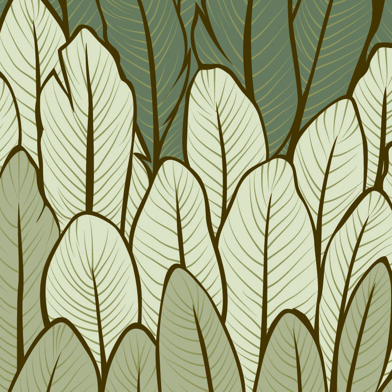 large-banana-leaf-layers-wallpaper-wallpaper-zoom-view