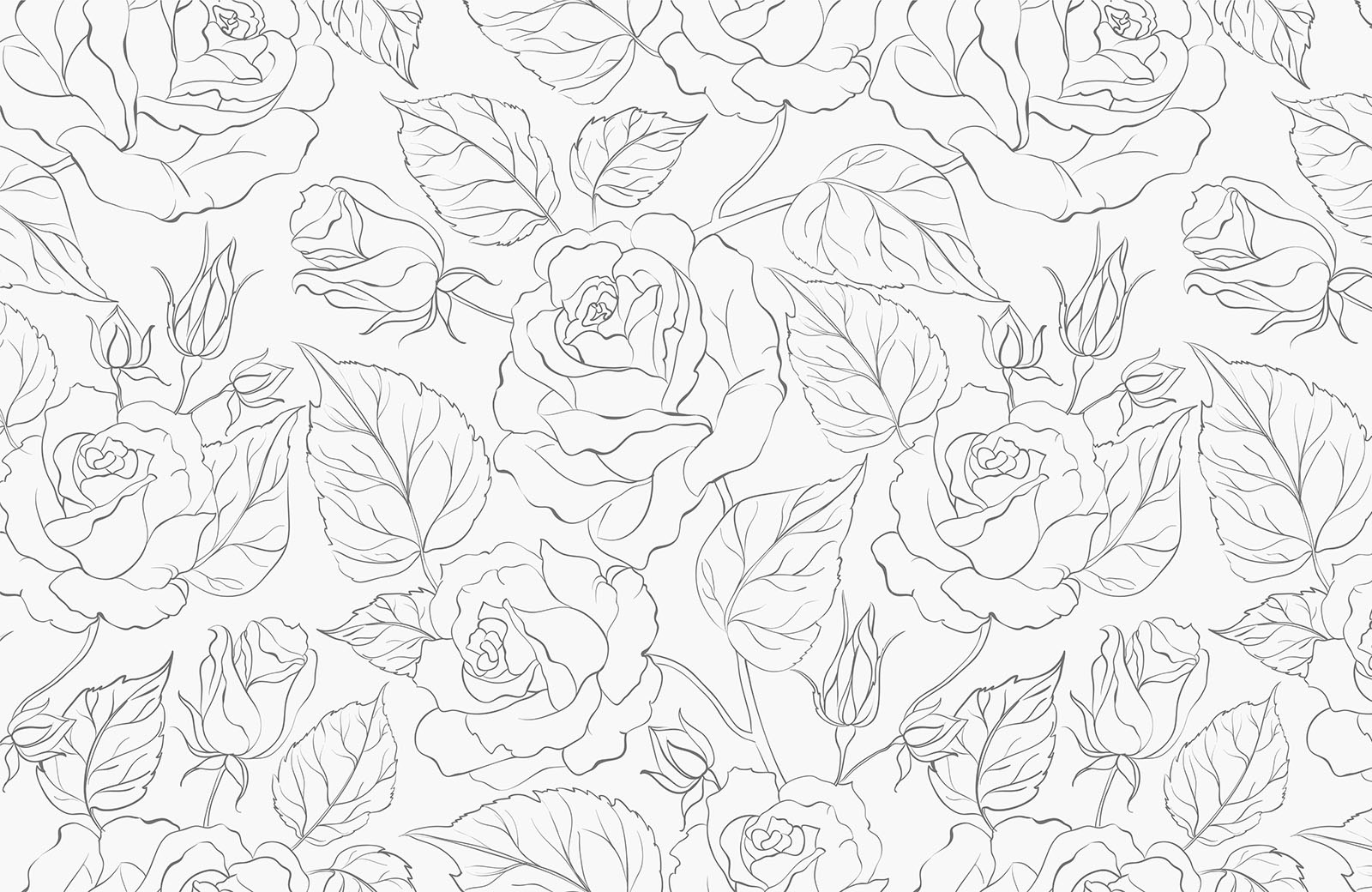 rose-and-leaves-sketch-outline-wallpaper-design
