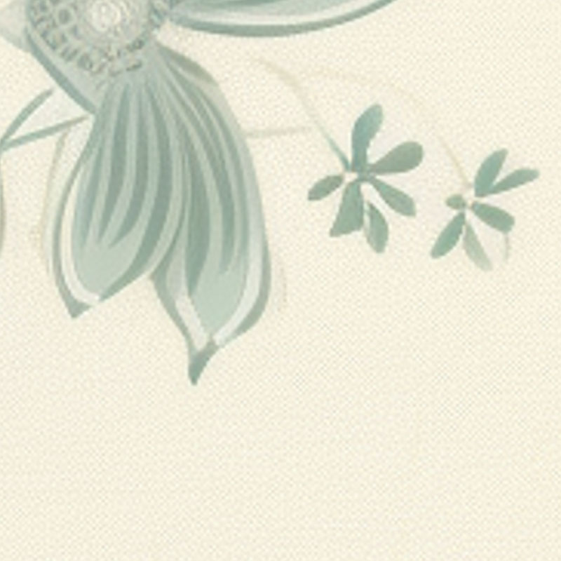 light-flowers-and-leaves-drawing-wallpaper-zoom-view