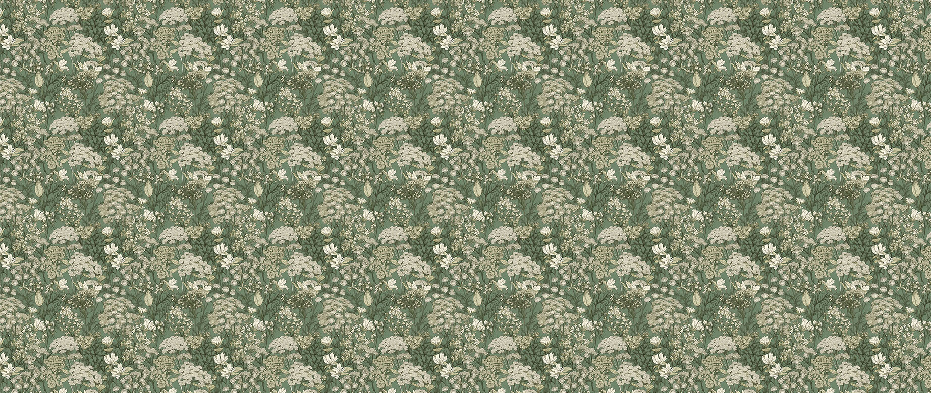 green-background-beige-flower-buds-wallpaper-wide-view
