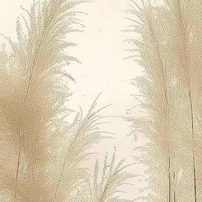pampas-dry-glass-wallpaper-zoom-view