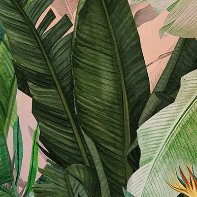 dense-tropical-large-leaf-wallpaper-zoom-view