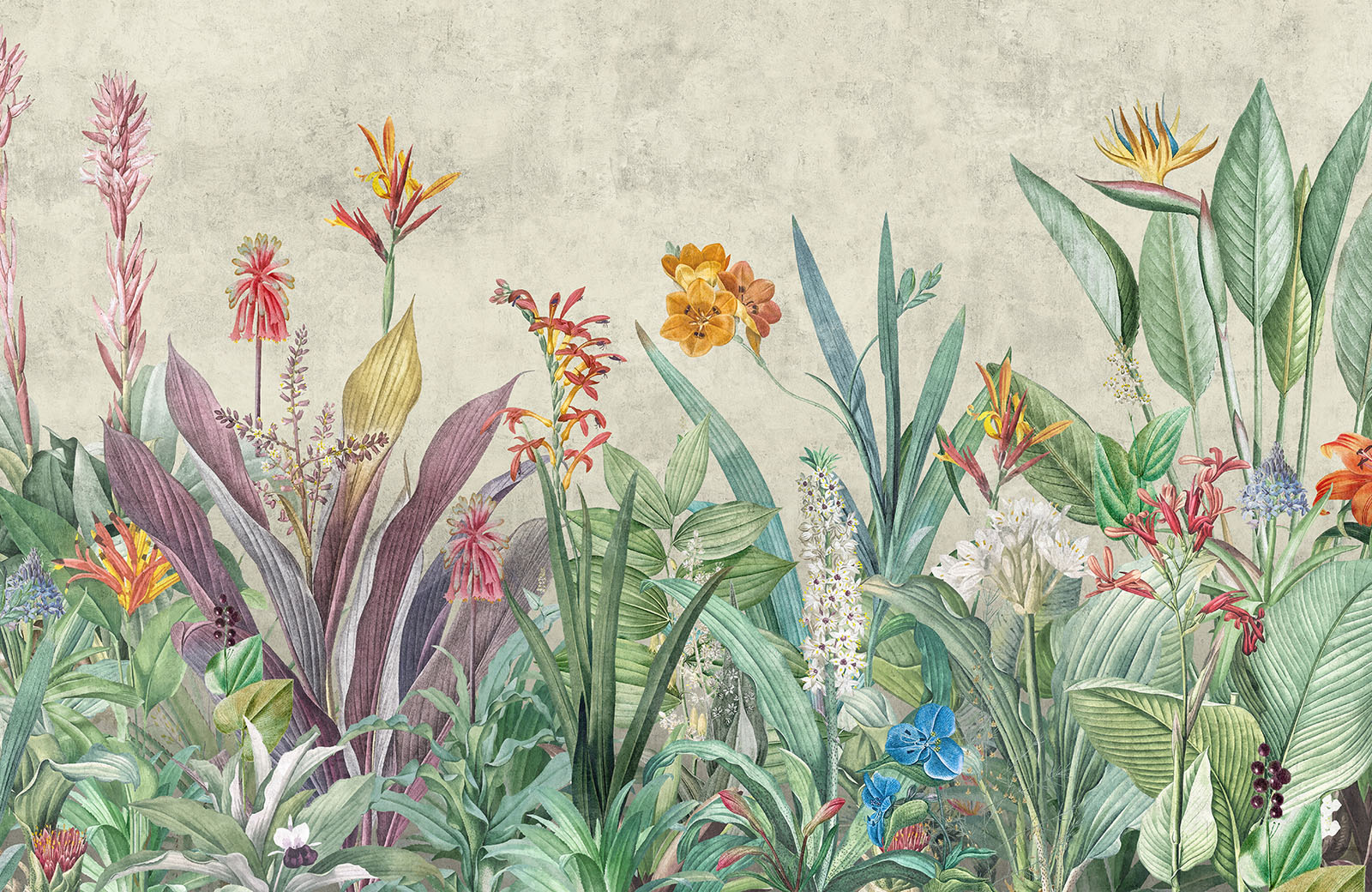 grass-wallpaper-for-wall-image